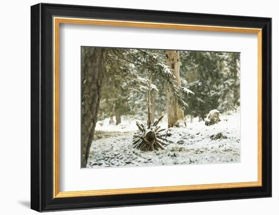 Winter Landscape in Bavaria - Snow-Petra Daisenberger-Framed Photographic Print