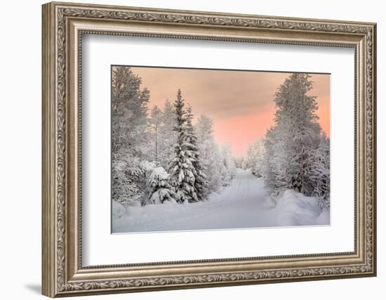 Winter Landscape in Lapland-udvarhazi-Framed Photographic Print