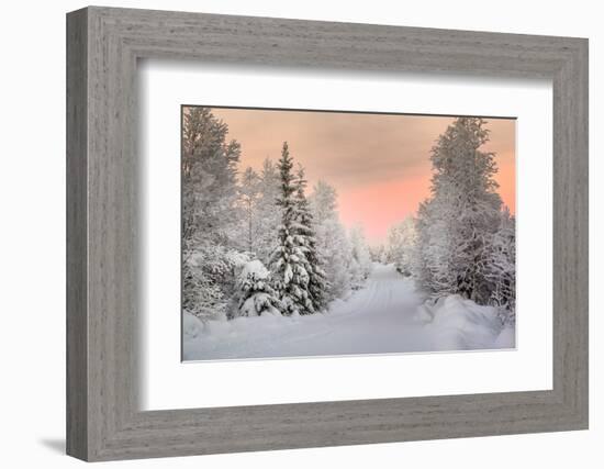 Winter Landscape in Lapland-udvarhazi-Framed Photographic Print