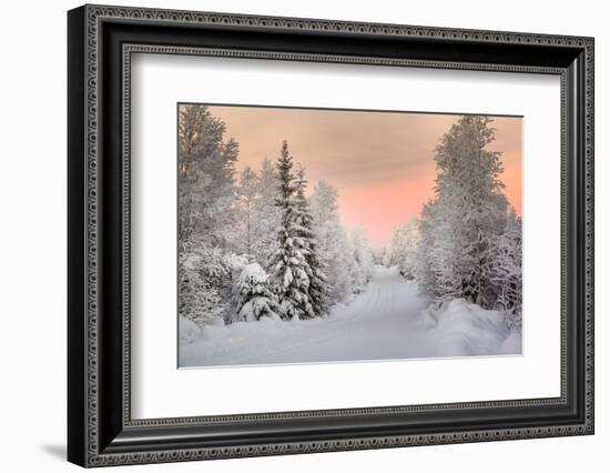 Winter Landscape in Lapland-udvarhazi-Framed Photographic Print