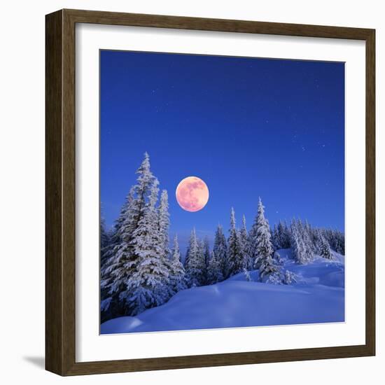 Winter Landscape in the Mountains at Night. A Full Moon and a Starry Sky. Carpathians, Ukraine-Kotenko-Framed Photographic Print