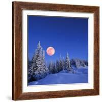 Winter Landscape in the Mountains at Night. A Full Moon and a Starry Sky. Carpathians, Ukraine-Kotenko-Framed Photographic Print