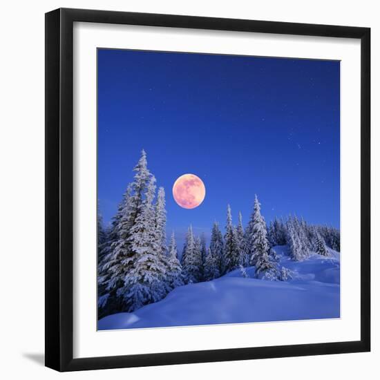 Winter Landscape in the Mountains at Night. A Full Moon and a Starry Sky. Carpathians, Ukraine-Kotenko-Framed Photographic Print