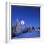 Winter Landscape in the Mountains at Night. A Full Moon and a Starry Sky. Carpathians, Ukraine-Kotenko-Framed Photographic Print