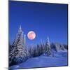 Winter Landscape in the Mountains at Night. A Full Moon and a Starry Sky. Carpathians, Ukraine-Kotenko-Mounted Photographic Print