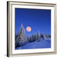 Winter Landscape in the Mountains at Night. A Full Moon and a Starry Sky. Carpathians, Ukraine-Kotenko-Framed Photographic Print