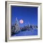 Winter Landscape in the Mountains at Night. A Full Moon and a Starry Sky. Carpathians, Ukraine-Kotenko-Framed Photographic Print