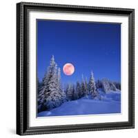 Winter Landscape in the Mountains at Night. A Full Moon and a Starry Sky. Carpathians, Ukraine-Kotenko-Framed Photographic Print