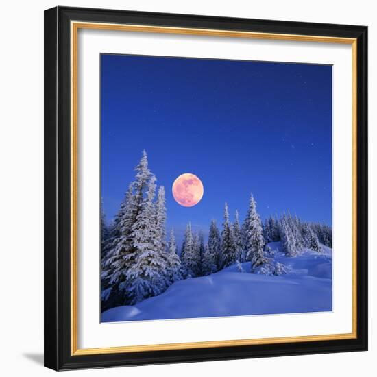 Winter Landscape in the Mountains at Night. A Full Moon and a Starry Sky. Carpathians, Ukraine-Kotenko-Framed Photographic Print