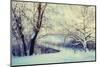 Winter Landscape in Vintage Tones - Frosty Bare Trees and Old Snowy Metal Bridge in the Cloudy Park-Marina Zezelina-Mounted Photographic Print