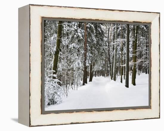 Winter Landscape, Near Koenigsfeld, Black Forest, Baden-Wutttemberg, Germany, Europe-Jochen Schlenker-Framed Premier Image Canvas