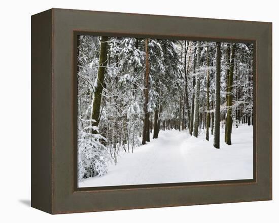 Winter Landscape, Near Koenigsfeld, Black Forest, Baden-Wutttemberg, Germany, Europe-Jochen Schlenker-Framed Premier Image Canvas