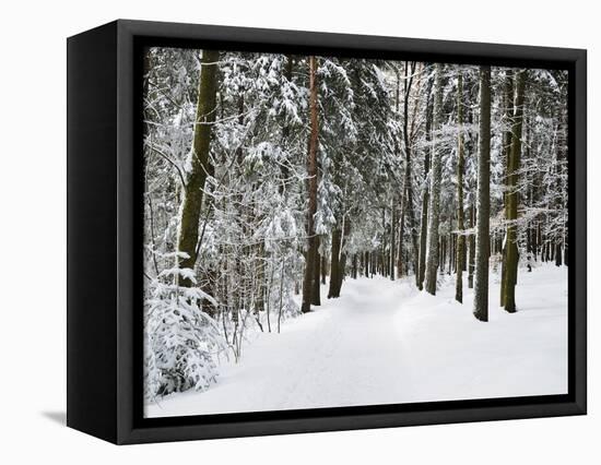 Winter Landscape, Near Koenigsfeld, Black Forest, Baden-Wutttemberg, Germany, Europe-Jochen Schlenker-Framed Premier Image Canvas