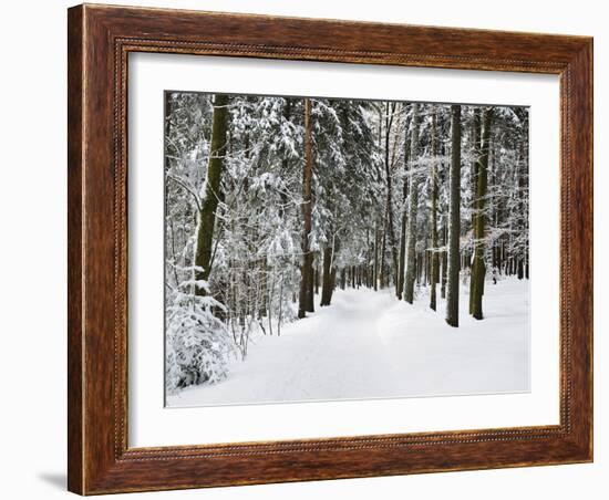 Winter Landscape, Near Koenigsfeld, Black Forest, Baden-Wutttemberg, Germany, Europe-Jochen Schlenker-Framed Photographic Print