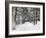 Winter Landscape, Near Koenigsfeld, Black Forest, Baden-Wutttemberg, Germany, Europe-Jochen Schlenker-Framed Photographic Print