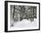 Winter Landscape, Near Koenigsfeld, Black Forest, Baden-Wutttemberg, Germany, Europe-Jochen Schlenker-Framed Photographic Print