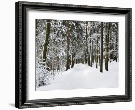 Winter Landscape, Near Koenigsfeld, Black Forest, Baden-Wutttemberg, Germany, Europe-Jochen Schlenker-Framed Photographic Print