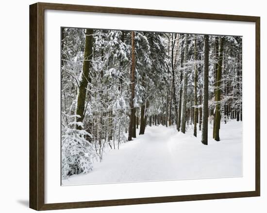 Winter Landscape, Near Koenigsfeld, Black Forest, Baden-Wutttemberg, Germany, Europe-Jochen Schlenker-Framed Photographic Print