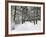 Winter Landscape, Near Koenigsfeld, Black Forest, Baden-Wutttemberg, Germany, Europe-Jochen Schlenker-Framed Photographic Print