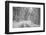 Winter Landscape near Passo Della Consuma-Guido Cozzi-Framed Photographic Print