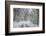 Winter Landscape near Passo Della Consuma-Guido Cozzi-Framed Photographic Print