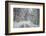 Winter Landscape near Passo Della Consuma-Guido Cozzi-Framed Photographic Print