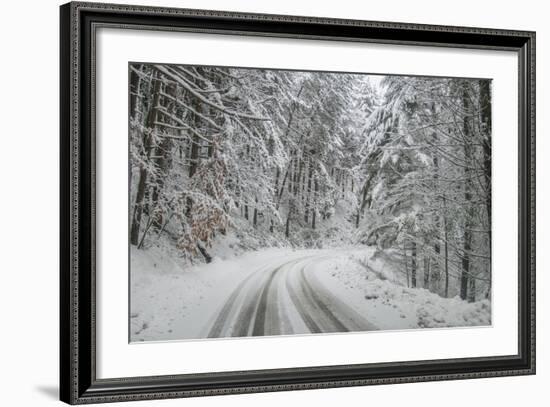 Winter Landscape near Passo Della Consuma-Guido Cozzi-Framed Photographic Print