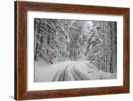 Winter Landscape near Passo Della Consuma-Guido Cozzi-Framed Photographic Print