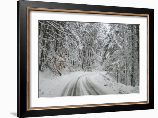 Winter Landscape near Passo Della Consuma-Guido Cozzi-Framed Photographic Print