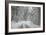 Winter Landscape near Passo Della Consuma-Guido Cozzi-Framed Photographic Print