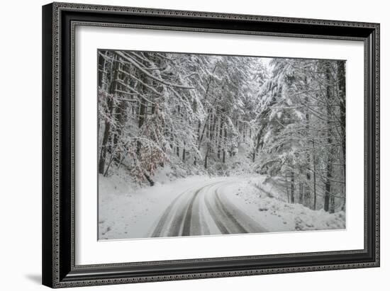 Winter Landscape near Passo Della Consuma-Guido Cozzi-Framed Photographic Print