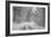 Winter Landscape near Passo Della Consuma-Guido Cozzi-Framed Photographic Print