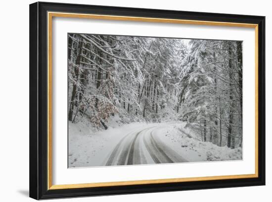Winter Landscape near Passo Della Consuma-Guido Cozzi-Framed Photographic Print