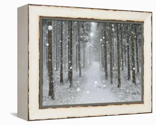 Winter Landscape, Near Villingen-Schwenningen, Black Forest, Baden-Wurttemberg, Germany, Europe-Jochen Schlenker-Framed Premier Image Canvas