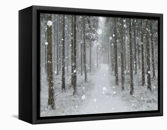 Winter Landscape, Near Villingen-Schwenningen, Black Forest, Baden-Wurttemberg, Germany, Europe-Jochen Schlenker-Framed Premier Image Canvas