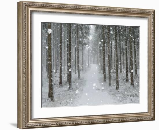 Winter Landscape, Near Villingen-Schwenningen, Black Forest, Baden-Wurttemberg, Germany, Europe-Jochen Schlenker-Framed Photographic Print