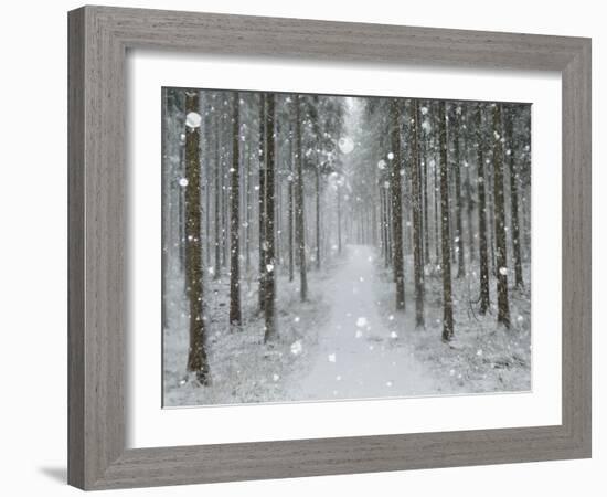 Winter Landscape, Near Villingen-Schwenningen, Black Forest, Baden-Wurttemberg, Germany, Europe-Jochen Schlenker-Framed Photographic Print