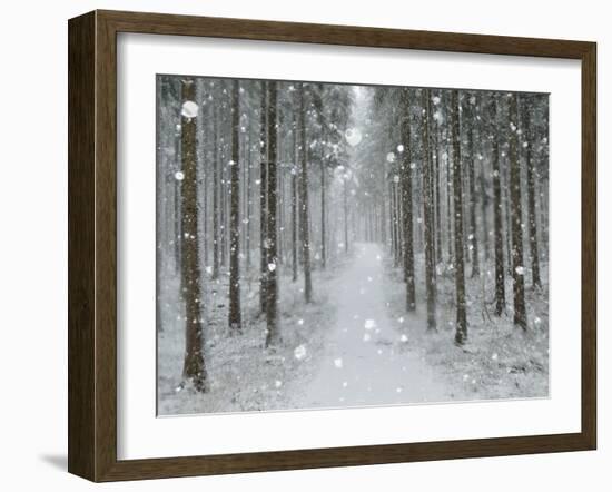 Winter Landscape, Near Villingen-Schwenningen, Black Forest, Baden-Wurttemberg, Germany, Europe-Jochen Schlenker-Framed Photographic Print