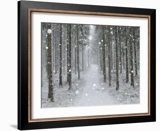 Winter Landscape, Near Villingen-Schwenningen, Black Forest, Baden-Wurttemberg, Germany, Europe-Jochen Schlenker-Framed Photographic Print