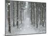 Winter Landscape, Near Villingen-Schwenningen, Black Forest, Baden-Wurttemberg, Germany, Europe-Jochen Schlenker-Mounted Photographic Print