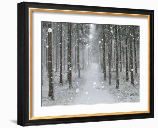 Winter Landscape, Near Villingen-Schwenningen, Black Forest, Baden-Wurttemberg, Germany, Europe-Jochen Schlenker-Framed Photographic Print