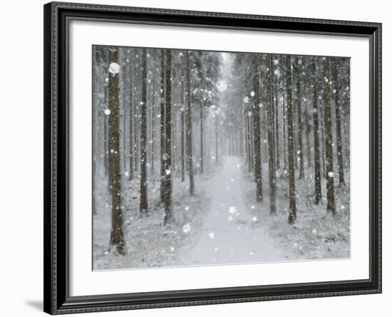 Winter Landscape, Near Villingen-Schwenningen, Black Forest, Baden-Wurttemberg, Germany, Europe-Jochen Schlenker-Framed Photographic Print