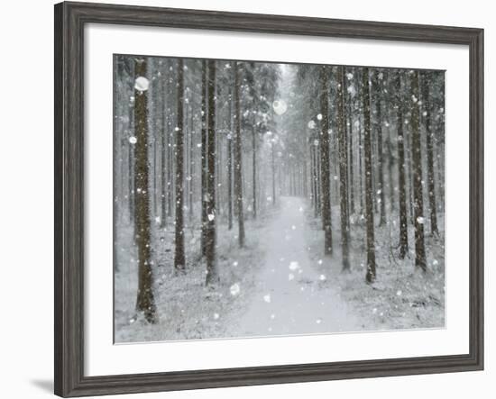 Winter Landscape, Near Villingen-Schwenningen, Black Forest, Baden-Wurttemberg, Germany, Europe-Jochen Schlenker-Framed Photographic Print