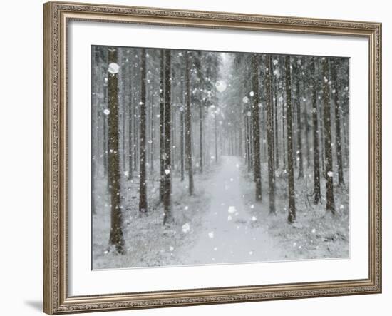 Winter Landscape, Near Villingen-Schwenningen, Black Forest, Baden-Wurttemberg, Germany, Europe-Jochen Schlenker-Framed Photographic Print