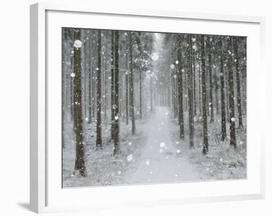 Winter Landscape, Near Villingen-Schwenningen, Black Forest, Baden-Wurttemberg, Germany, Europe-Jochen Schlenker-Framed Photographic Print