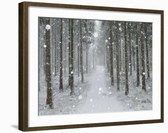 Winter Landscape, Near Villingen-Schwenningen, Black Forest, Baden-Wurttemberg, Germany, Europe-Jochen Schlenker-Framed Photographic Print