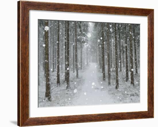 Winter Landscape, Near Villingen-Schwenningen, Black Forest, Baden-Wurttemberg, Germany, Europe-Jochen Schlenker-Framed Photographic Print