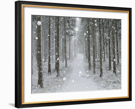 Winter Landscape, Near Villingen-Schwenningen, Black Forest, Baden-Wurttemberg, Germany, Europe-Jochen Schlenker-Framed Photographic Print