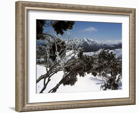 Winter Landscape of Mountains Seen Through Snow-Covered Tree Branches, High Country, Australia-Richard Nebesky-Framed Photographic Print