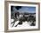 Winter Landscape of Mountains Seen Through Snow-Covered Tree Branches, High Country, Australia-Richard Nebesky-Framed Photographic Print